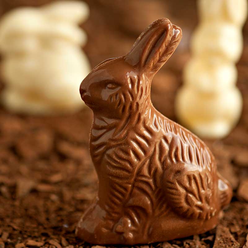 Chocolates Breick